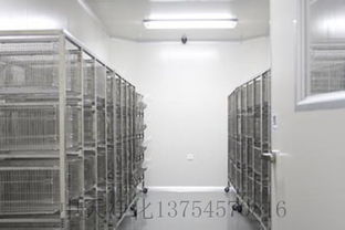 凈化工程凈化實驗室設(shè)計與施工