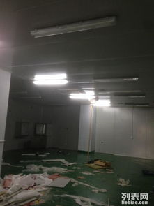 金山石化區食品廠專業凈化工程 彩鋼巖棉板隔斷、車間隔墻與工裝裝修一體化解決方案